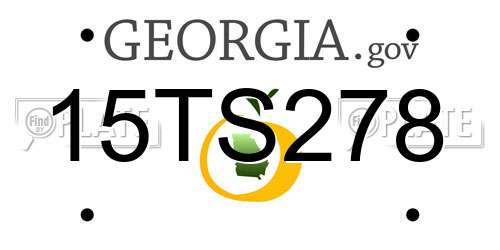 15TS278 Georgia License Plate