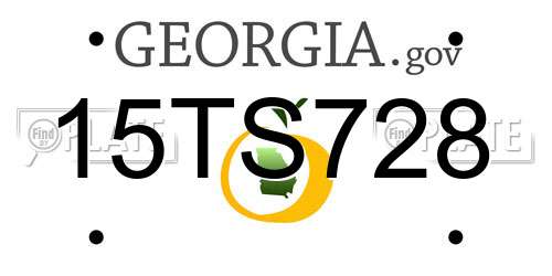 15TS728 Georgia License Plate