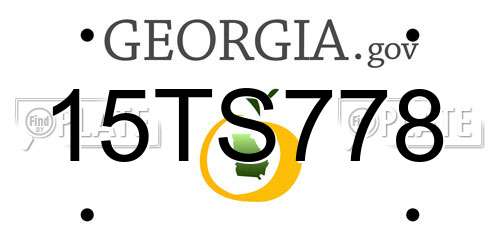 15TS778 Georgia License Plate