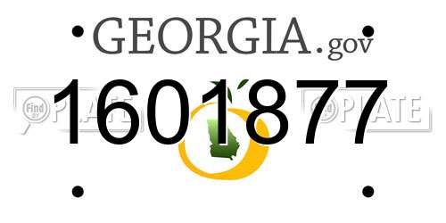 1601877 Georgia License Plate