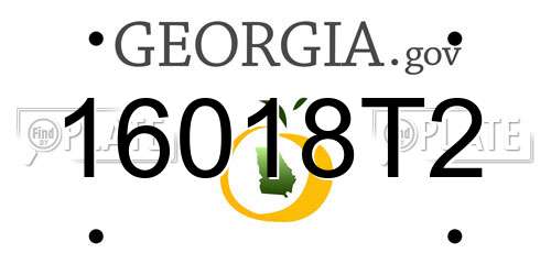 16018T2 Georgia License Plate