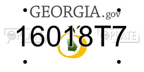 16018T7 Georgia License Plate