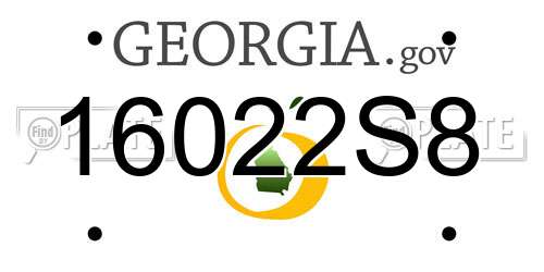 16022S8 Georgia License Plate