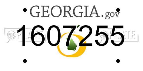 1607255 Georgia License Plate