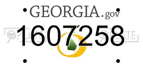1607258 Georgia License Plate