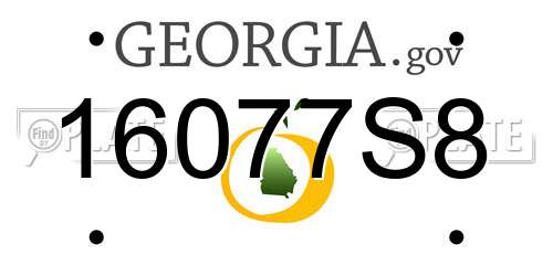 16077S8 Georgia License Plate