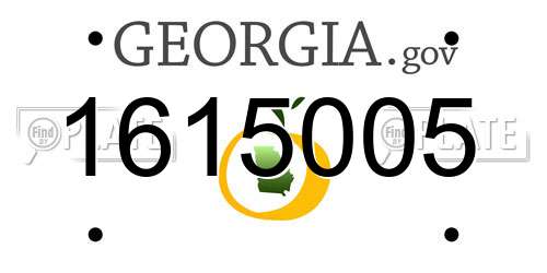 1615005 Georgia License Plate