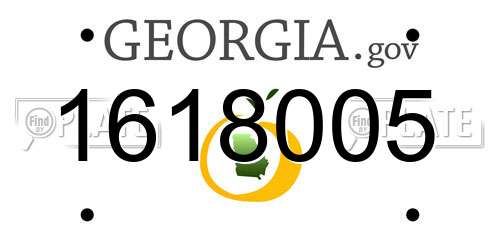 1618005 Georgia License Plate