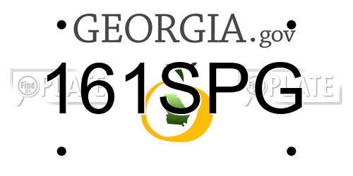 161SPG Georgia License Plate