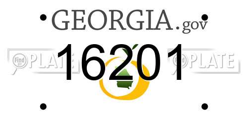 16201 Georgia License Plate