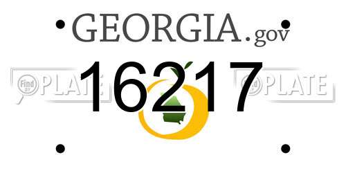 16217 Georgia License Plate