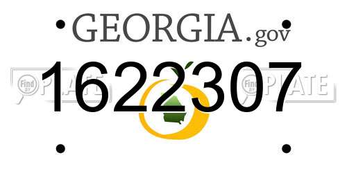 1622307 Georgia License Plate