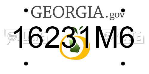 16231M6 Georgia License Plate