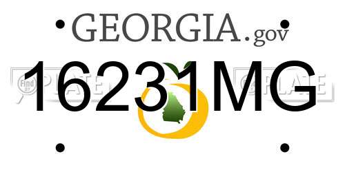 16231MG Georgia License Plate