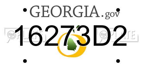 16273D2 Georgia License Plate
