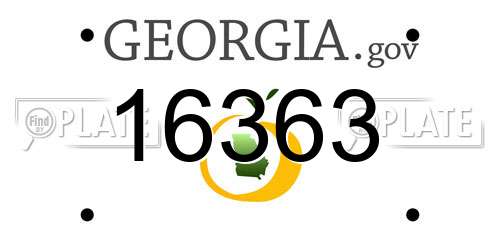 16363 Georgia License Plate
