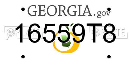 16559T8 Georgia License Plate