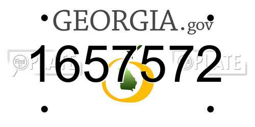 1657572 Georgia License Plate