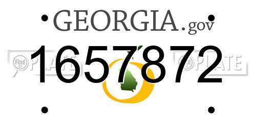 1657872 Georgia License Plate