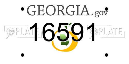 16591 Georgia License Plate