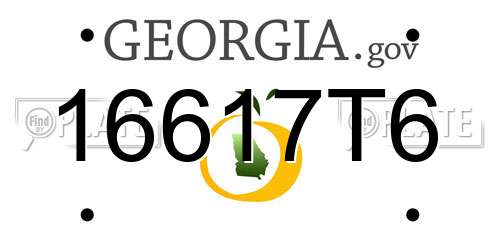 16617T6 Georgia License Plate