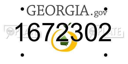 1672302 Georgia License Plate