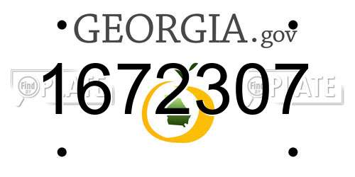1672307 Georgia License Plate