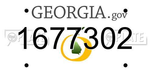 1677302 Georgia License Plate
