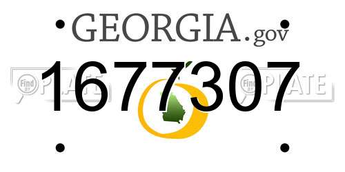 1677307 Georgia License Plate
