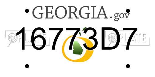 16773D7 Georgia License Plate