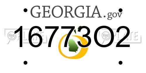 16773O2 Georgia License Plate