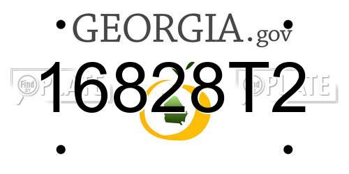 16828T2 Georgia License Plate