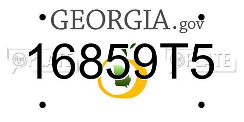 16859T5 Georgia License Plate