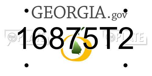 16875T2 Georgia License Plate