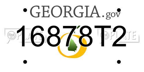 16878T2 Georgia License Plate