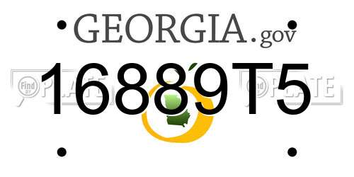 16889T5 Georgia License Plate