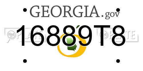 16889T8 Georgia License Plate
