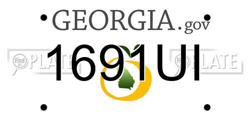 1691UI Georgia License Plate