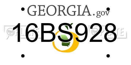 16BS928 Georgia License Plate