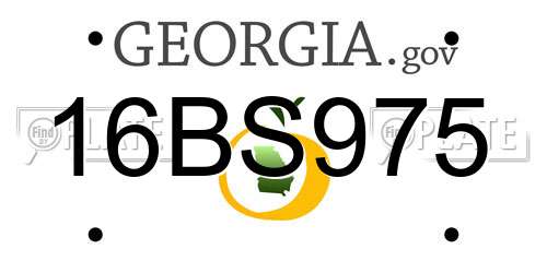16BS975 Georgia License Plate