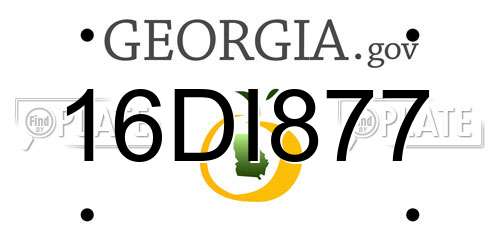 16DI877 Georgia License Plate