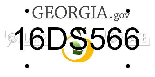 16DS566 Georgia License Plate