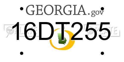 16DT255 Georgia License Plate