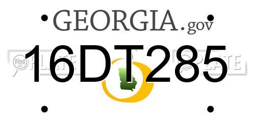16DT285 Georgia License Plate