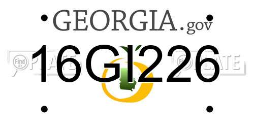 16GI226 Georgia License Plate
