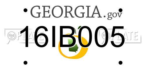 16IB005 Georgia License Plate