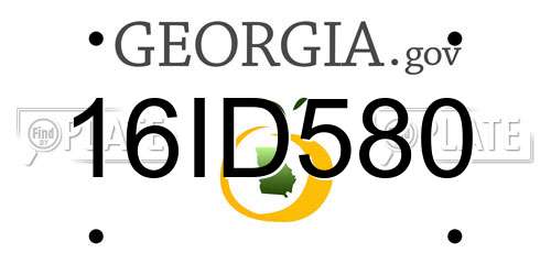 16ID580 Georgia License Plate