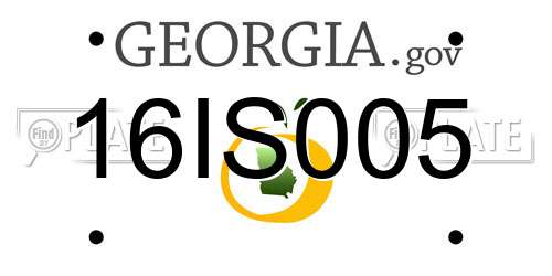 16IS005 Georgia License Plate