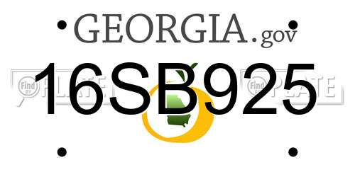 16SB925 Georgia License Plate
