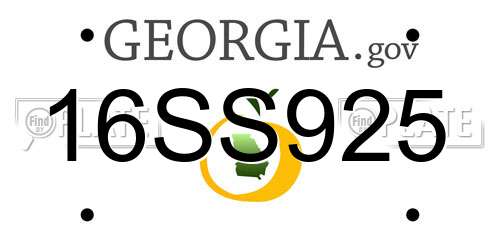 16SS925 Georgia License Plate